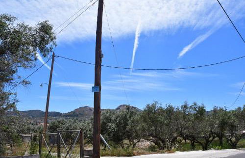 Da Vinci kavouropetra - Foto 39