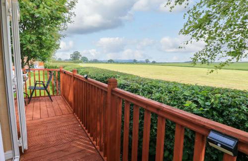 12 Field View - Foto 30