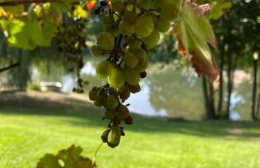 Haus am See Kamin privater Seezugang - Foto 75