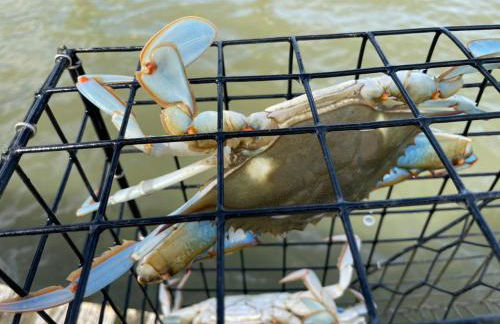 Lighthouse Haven - Foto 22