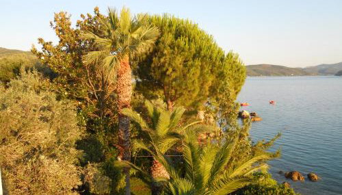 Villa Electra - Photo 4, Garden view