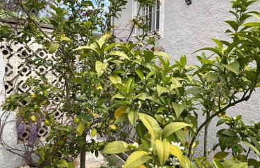 Villa Aleksandra - Foto 75