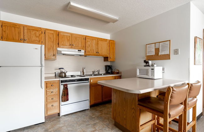Bison at Buffalo Jump - Photo 8