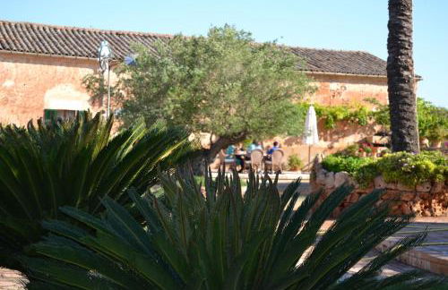 Agroturismo Finca Son Sala - Photo 36