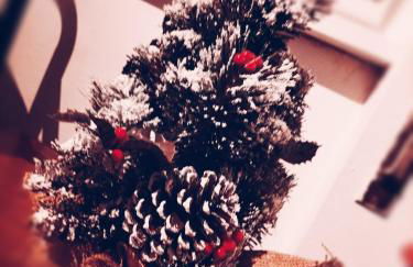 Casa Franca - Apartment in the countryside with garden - Foto 38