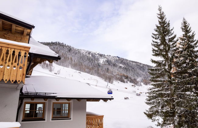 Marmotta Culm - Foto 5