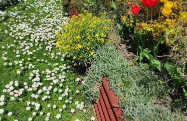 Dom wakacyjny - Foto 17