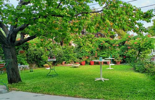 Finikas Rooms - Foto 14