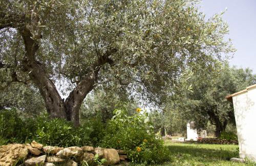 Casa Raineri - Foto 25