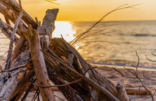 Dom Black&White - Photo 11