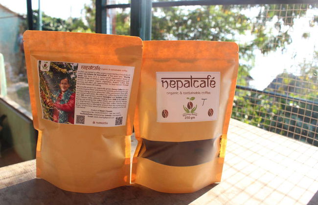 Excursión a los cafetales de Sarangkot - Foto 7