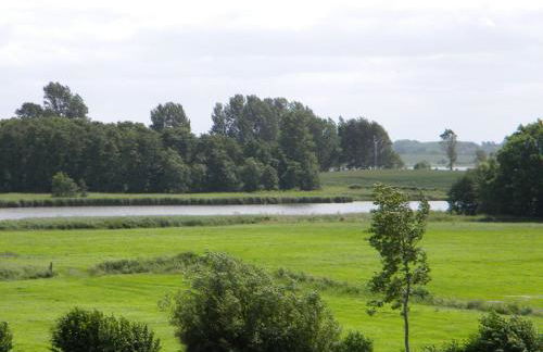 Schlei-Garten - Foto 16