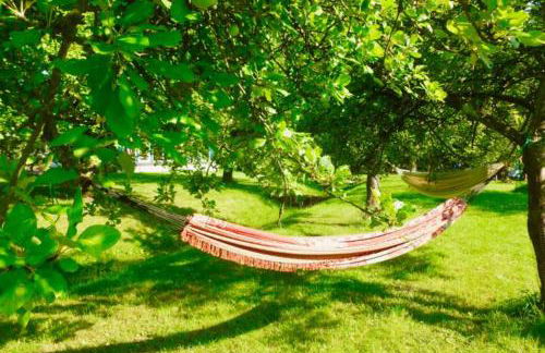 Forellenhof - Foto 27