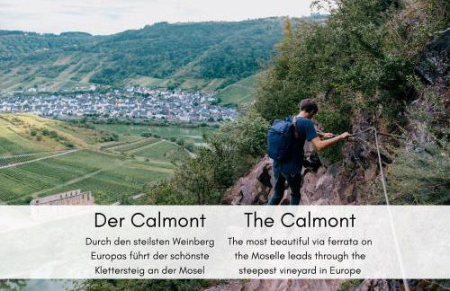 Winzerhaus am Calmont - Terrasse der Ruhe - Foto 20