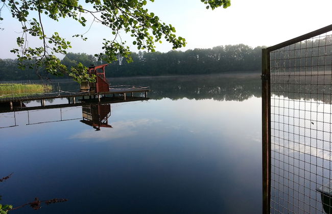 Haus Waldidyll am See 1 - Foto 23