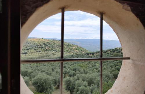 Torre Bruno - Foto 29