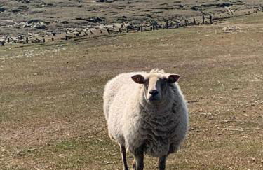 Meeresbrise 1 - Foto 37