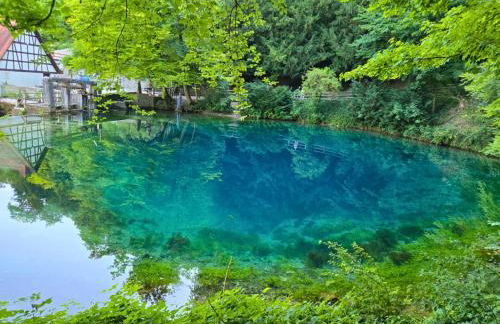 Holiday&Stay, Blautopf Apartments - Foto 5