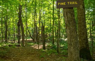 Cozy Luxury Cabin w Hot Tub, Fire Pit, King Bed - Foto 70