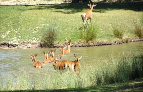 Holiday Home in Chilleurs near Château - Foto 33