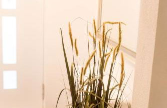 Haus Salinen Bad Rothenfelde - Foto 22