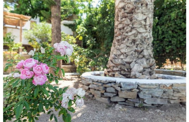 Amazing 1-Bedroom House in Tinos - Foto 14