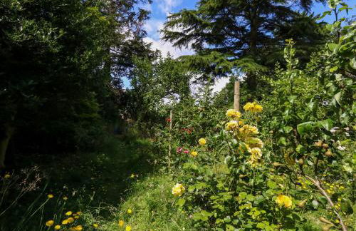 Little Timbers - Foto 47