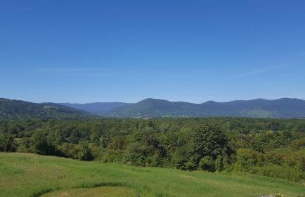 Studio Apartments Ante - Foto 10