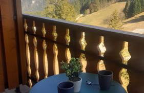 Appartement vu sur la montagne - Foto 1