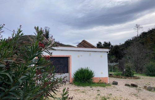 Oleiro de Cima - Foto 11