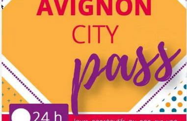 Beau studio Monteux, balcon vue Lac, près de Spirou Provence - Photo 47