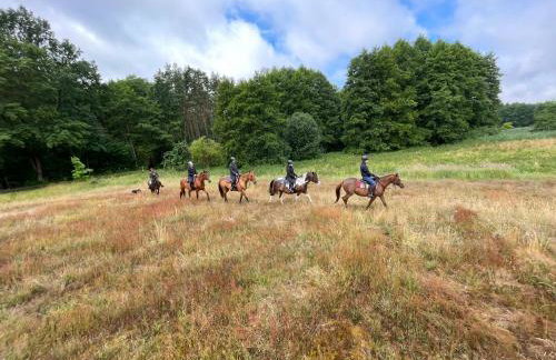 JZ Guest Ranch - Foto 13