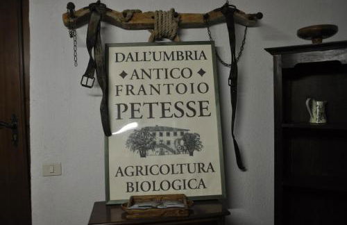 Agriturismo "Antico Frantoio" - Photo 32