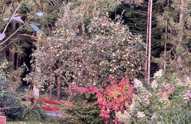 Ferienwohnung Theresa - Photo 17