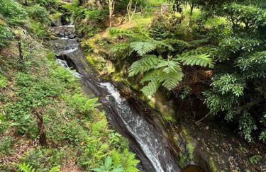 Casa do Avô Fernando - Photo 34