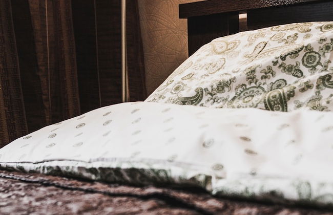 Lakshmi Alekseevskaya - Photo 4