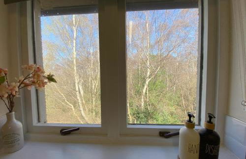 Treetops - Bright 2 Bed Flat - Super Location - Photo 27