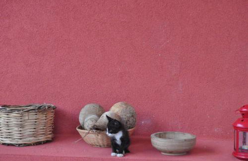 Casa Rossa - Foto 49