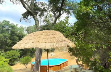 Forest House Oku - Foto 12