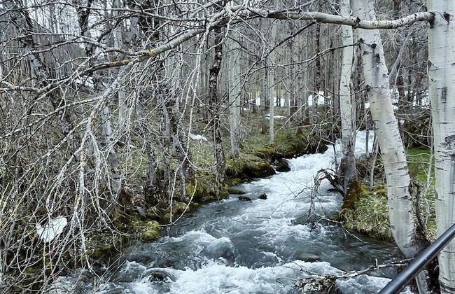 Casas rurales 4 valles - Foto 41