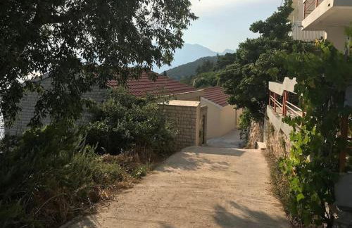 Captain Branko - Foto 25