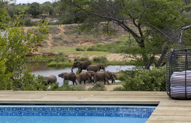 Simbavati Mvubu - Foto 14