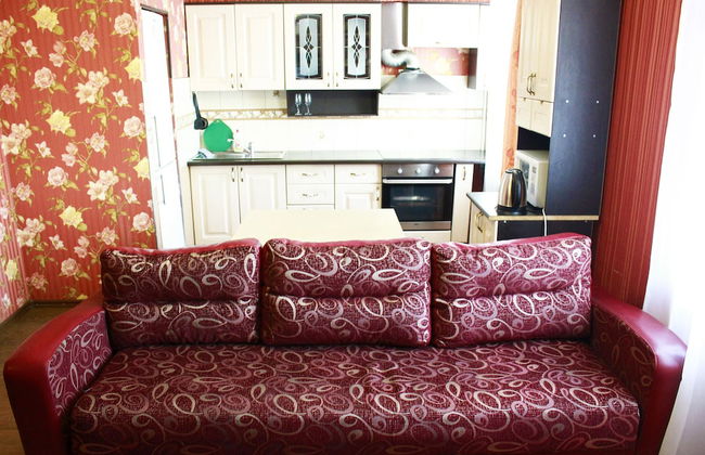 Dobrye Sutki Apartment on Sovetskaya 214 - Photo 8