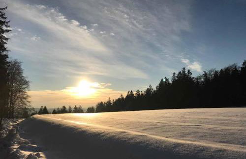 Ferienhaus Napoleon - Foto 43