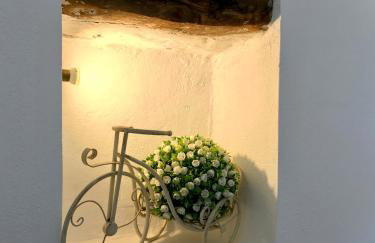 BIO Garden Stonehouse - Foto 29