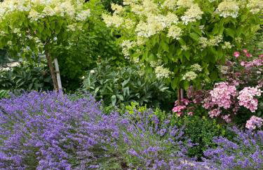 Landgut zur Mühle - Foto 27