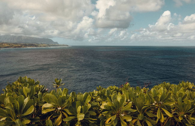 Banyan Harbor Resort - Foto 149