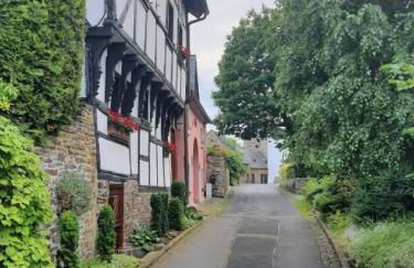 Fewo Eifel Dahlem Nationalpark Sonnenterrasse & Kamin - Foto 29