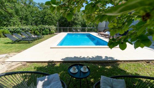 Apartments Srdanovic - Photo 3, sunbed