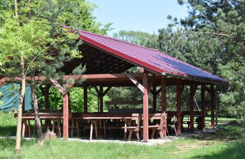 Newland Wójtowicz - Foto 51